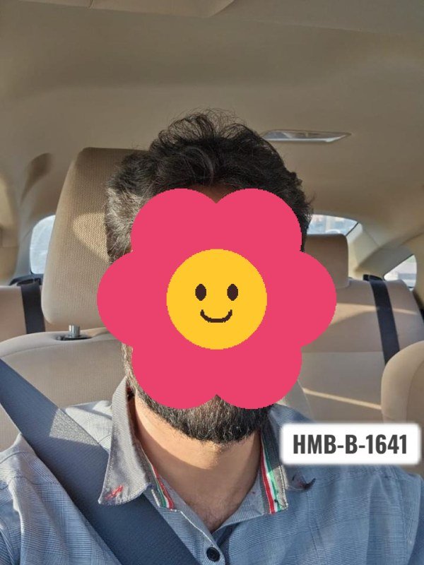 Privacy-protected groom profile